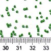 FGB 11/0 Grade A Glass Seed Beads SEED-S030-1004-4