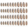 50Pcs Natural Spiral Shell Pendants SSHEL-CW0001-01-3