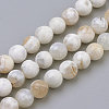 Natural Fire Crackle Agate Beads Strands X-G-S249-09-8mm-1