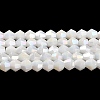 Opaque Solid Color Electroplate Glass Beads Strands LS-GLAA-F029-P4mm-A15-1