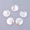 Shell Cabochons X-BSHE-P026-22-1