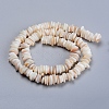 Natural Freshwater Shell Beads Strands SHEL-D078-01B-2