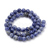 Natural Brazil Blue Spot Jasper Beads Strands G-S259-36-8mm-2