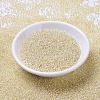 MIYUKI Round Rocailles Beads X-SEED-G007-RR0577-2
