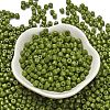 Baking Paint Pearlized Glass Seed Beads SEED-C001-04A-09-2