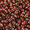 Glass Seed Beads X1-SEED-H002-B-D205-3