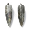 Natural Labradorite Pointed Pendants G-D040-01P-B04-2