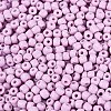 6/0 Baking Paint Glass Round Seed Beads SEED-S036-01C-08-3