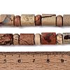 Natural Shoushan Stone Beads Strands G-Q616-09L-5