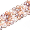 Natural Cultured Freshwater Pearl Beads Strands PEAR-N014-09A-5