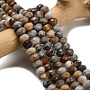 Natural Gobi Agate Beads Strands G-Z111-A55-1