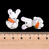 Handmade Lampwork Beads LAMP-T029-03-3