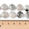 Natural Labradorite Beads Strands G-D316-A17-4