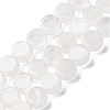 Natural Quartz Crystal Beads Strands G-C159-B11-01-1