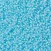 MIYUKI Round Rocailles Beads X-SEED-G008-RR0220-3