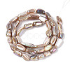 Electroplated Natural Freshwater Shell Beads Strands SHEL-T020-33-2