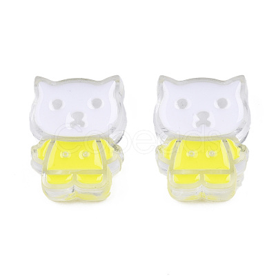 Transparent Acrylic Enamel Beads TACR-N012-005G-1
