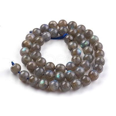 Grade AA Natural Gemstone Labradorite Round Beads Strands G-E251-33-8mm-1