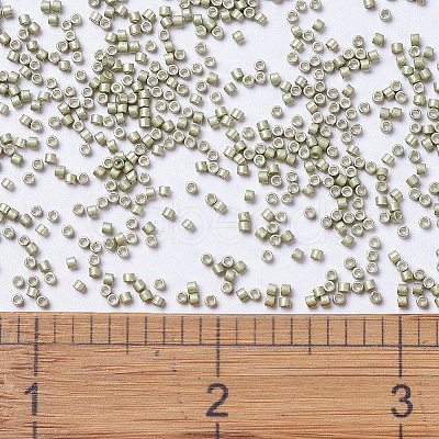 MIYUKI Delica Beads X-SEED-J020-DB1181-1
