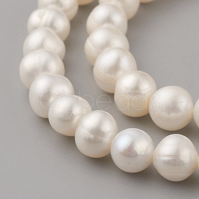 Natural Cultured Freshwater Pearl Beads Strands PEAR-G007-27-01-1