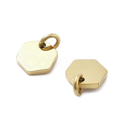 Geometric Figure Style 304 Stainless Steel Stamping Blank Tag Charms STAS-D302-03E-1