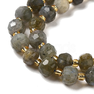 Natural Labradorite Beads Strands G-P508-A20-01-1