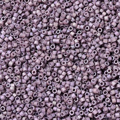 MIYUKI Delica Beads SEED-MY11-DB1064-1