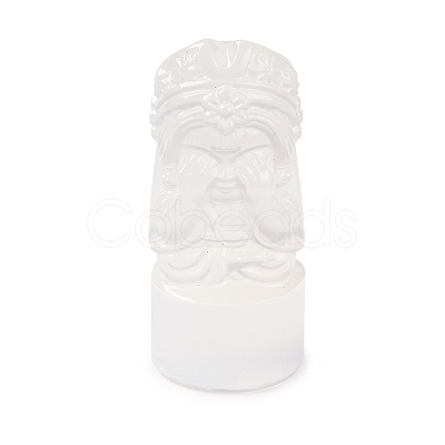 Natural Selenite Figurines DJEW-Q006-01I-1