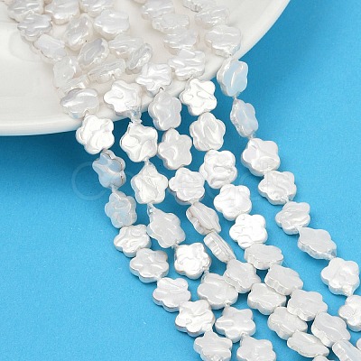 Electroplate Shell Pearl Beads Strands BSHE-Z009-07-01-1