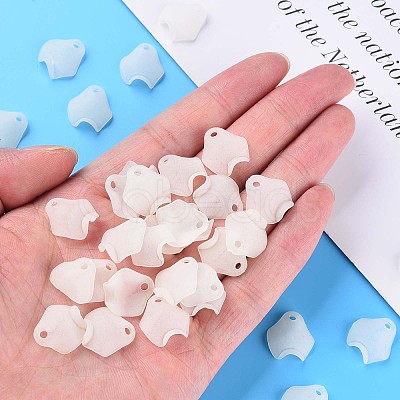 Transparent Acrylic Beads X-MACR-S373-106-D07-1