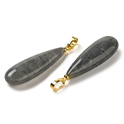 Natural Labradorite Pendants G-Q192-07G-06-1