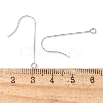 316 Surgical Stainless Steel Earring Hooks STAS-Z124-02B-P-1