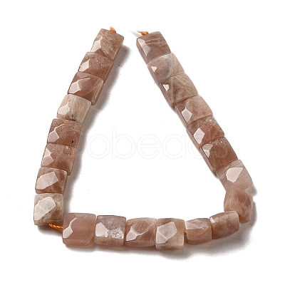 Natural Sunstone Beads Strands G-C109-A09-01-1