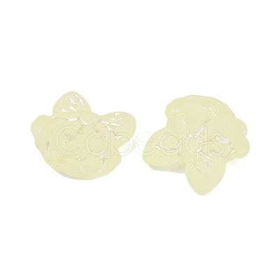 Frosted Transparent Acrylic Beads X1-OACR-P029-18B-03-1