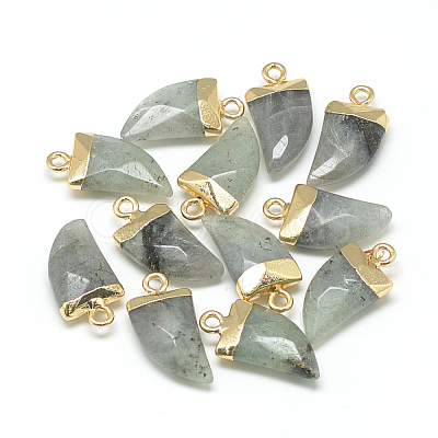 Natural Labradorite Pointed Pendants G-Q966-02-1