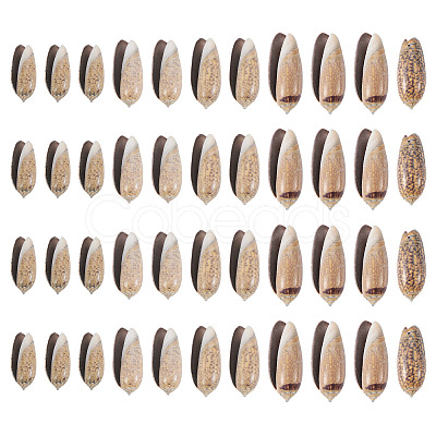 50Pcs Natural Spiral Shell Pendants SSHEL-CW0001-01-1