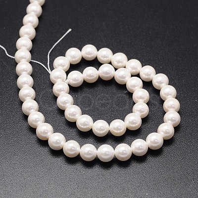 Shell Pearl Beads Strands X-BSHE-E008-14mm-12-1