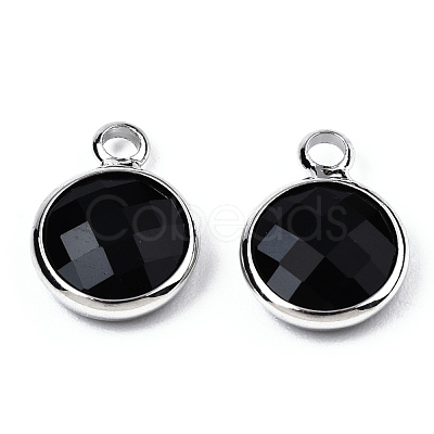 K9 Glass Charms GLAA-N038-22-02P-1