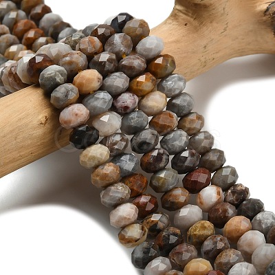 Natural Gobi Agate Beads Strands G-Z111-A55-1