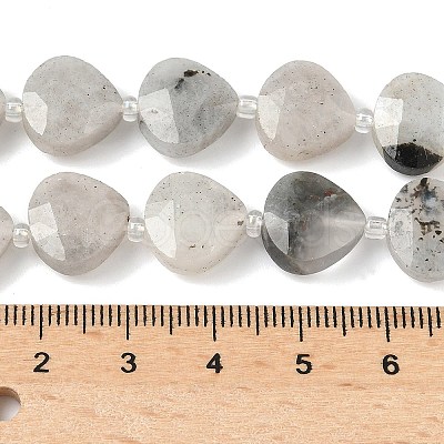 Natural Labradorite Beads Strands G-D316-A17-1