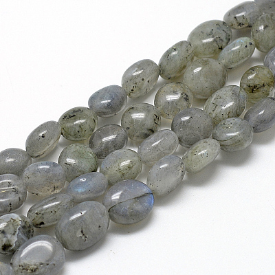 Natural Labradorite Beads Strands X-G-R445-8x10-20-1