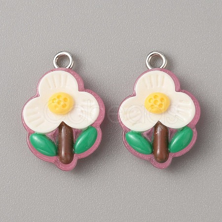 Translucent Resin Pendants RESI-TAC0019-08H-1