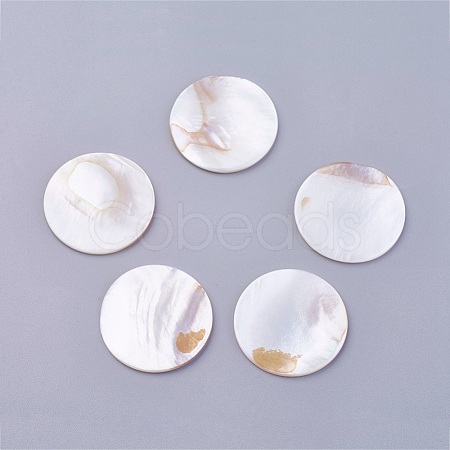 Shell Cabochons X-BSHE-P026-22-1