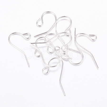 Iron Earring Hooks X-J079F-S-1