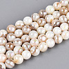 AB Color Natural Freshwater Shell Beads Strands BSHE-T014-40B-1