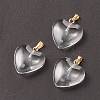Spray Painted Glass Pendants LS-X-GLAA-N035-016-A03-2