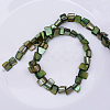 Natural Shell Beads Strands X-PBB050Y-2