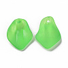 Transparent Frosted Acrylic Pendants MACR-S371-03A-734-2