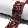 Natural Garnet Beads Strands G-H079-A01-01A-2