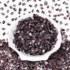 Transparent Spray Painted Glass Seed Beads SEED-L011-10A-21-2